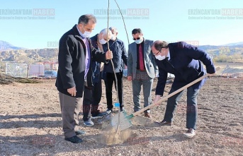 Doğu’nun ‘Ceviz Bahçesi’ büyümeye devam ediyor