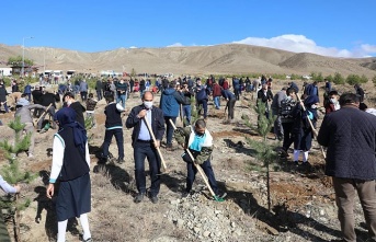 Erzincan’da 25 bin fidan toprakla buluştu