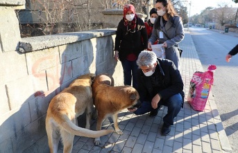 Erzincan Valisi, kısıtlamada aç kalan hayvanları elleriyle besledi