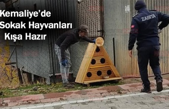 Kemaliye Belediyesi Sokak Hayvanlarını Unutmuyor