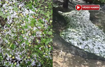 Dolu, bahçelere zarar verdi