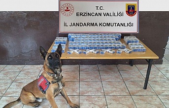Erzincan İl Jandarma Komutanlığı Çalışmalarını Paylaştı