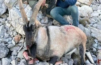 Erzincan’da kaçak avcılara rekor ceza