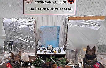 Erzincan’da uyuşturucu operasyonu