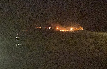 Erzincan’da arazi yangını