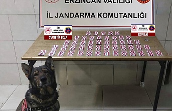 Erzincan’da yapılan aramada uyuşturucu madde ele geçirildi