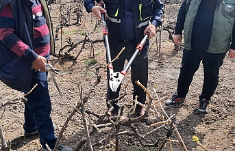 Tarım Teşkilatı Çiftçinin Yanında