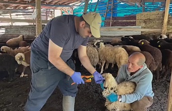 Erzincan'da dağ taş demeden çalışmaya devam ediyorlar