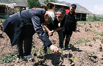 Erzincan’da Bağlarda Yoğun Denetim