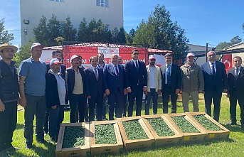 Erzincan’da Çiftçilere Tohum ve Fide Dağıtımı Yapıldı