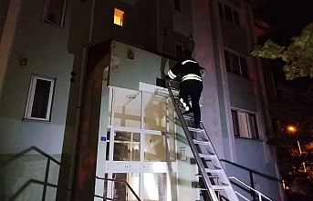 Erzincan’da Sundurmada Mahsur Kalan Kedi Kurtarıldı
