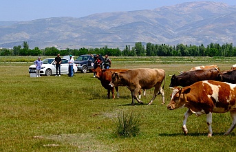 Erzincan'da meralarda su arama çalışmaları başladı