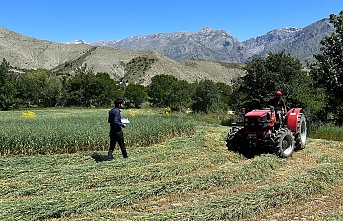 Erzincan son yıllarda yem bitkisi ekilişi alanlarında artış görünüyor