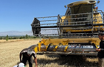 Erzincan’da Buğday Hasadı Başladı, Denetimler Sıkılaştırıldı