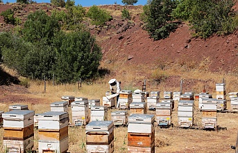 Erzincan, Balın Altın Diyarı