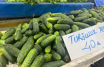 Erzincan’da Kışa Hazırlık Telaşı