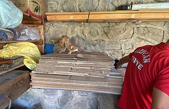 Yavru Kedi Sıkıştığı Yerden  Kurtarıldı