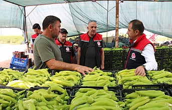 Erzincan’da en çok fide diken çiftçi oldu