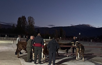Kapılarını yeniden yetiştiricilere açtı
