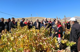 Üzüm bağlarında  eğitimler başladı