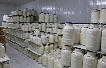 Yaylalardan Sofralara Uzanan Lezzet