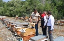 Erzincan’da ilk hasat