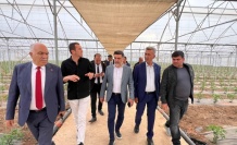 Erzincan seracılık alanında büyümeyi sürdürüyor