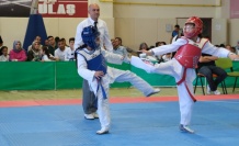 Erzincan’da Taekwondo il birinciliği tamamlandı