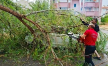 Erzincan’da Sağanak ve Fırtına Ağaçları Devirdi, Çatıları Uçurdu