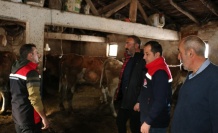 Üreticilere Yerinde Destek