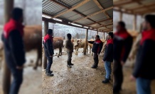 Kemah’ta Üreticiye Yerinde Destek