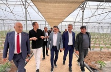Erzincan seracılık alanında büyümeyi sürdürüyor