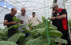 Erzincan’da Pestisit Kontrolleri Sıkılaştırıldı