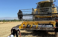 Erzincan’da Buğday Hasadı Başladı, Denetimler Sıkılaştırıldı