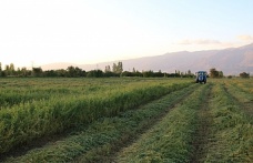 ÇKS Başvuruları 31 Aralık’ta Sona Eriyor