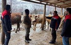 Kemah’ta Üreticiye Yerinde Destek