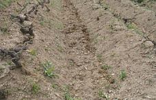 Toprak İşleme ve Gübreleme Nasıl Olmalı?