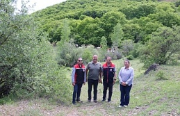 Erzincan’ da kadın muhtar, hayvancılıkta örnek oluyor