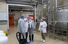 Erzincan Süt Fabrikası günde 45 bin litre süt işliyor