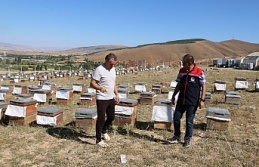 Erzincan’da bin 200 kovanıyla üretime destek sağlıyor