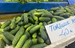 Erzincan’da Kışa Hazırlık Telaşı