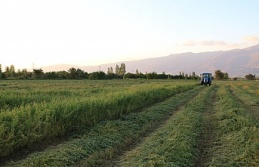 ÇKS Başvuruları 31 Aralık’ta Sona Eriyor