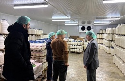 Erzincan Tulum Peyniri, Asırlık Lezzetini Modern Tesislerle Geleceğe Taşıyor