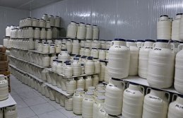 Yaylalardan Sofralara Uzanan Lezzet