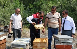 Coğrafi İşaretli Ürün Sayısı 17’ye Yükseldi