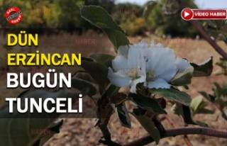 Önce Erzincan, Sonra Tunceli..