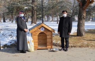 Erzincan Belediyesi’nden Sokak Hayvanlarına Kulübe