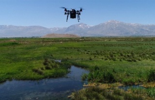 ‘Drone’ ile ilaçlanıyor