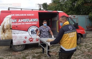 Erzincan’da hayvan ambulansı hizmete başladı
