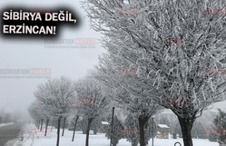 Erzincan Buz Tuttu!